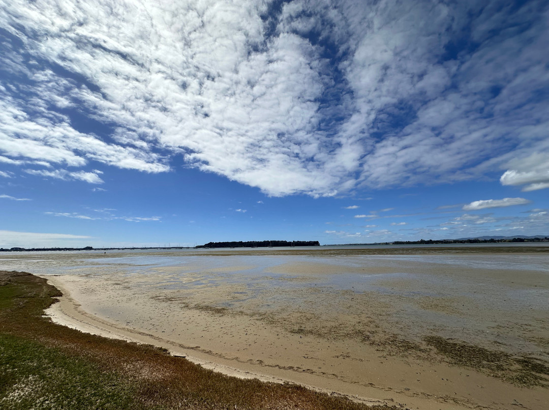 Omokoroa Walkway-Athenree必去景点