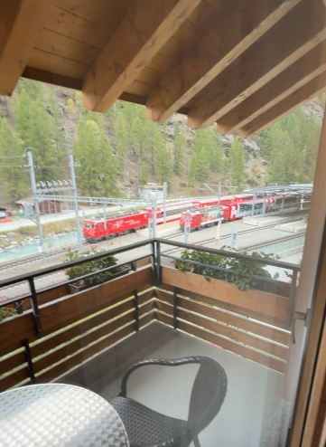 塔夏霍夫典型瑞士酒店-旅行者
