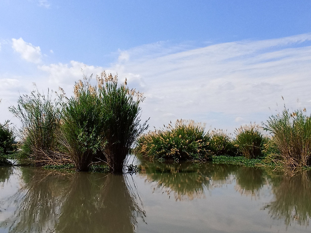 Liwonde National Park-Liwonde必去景点