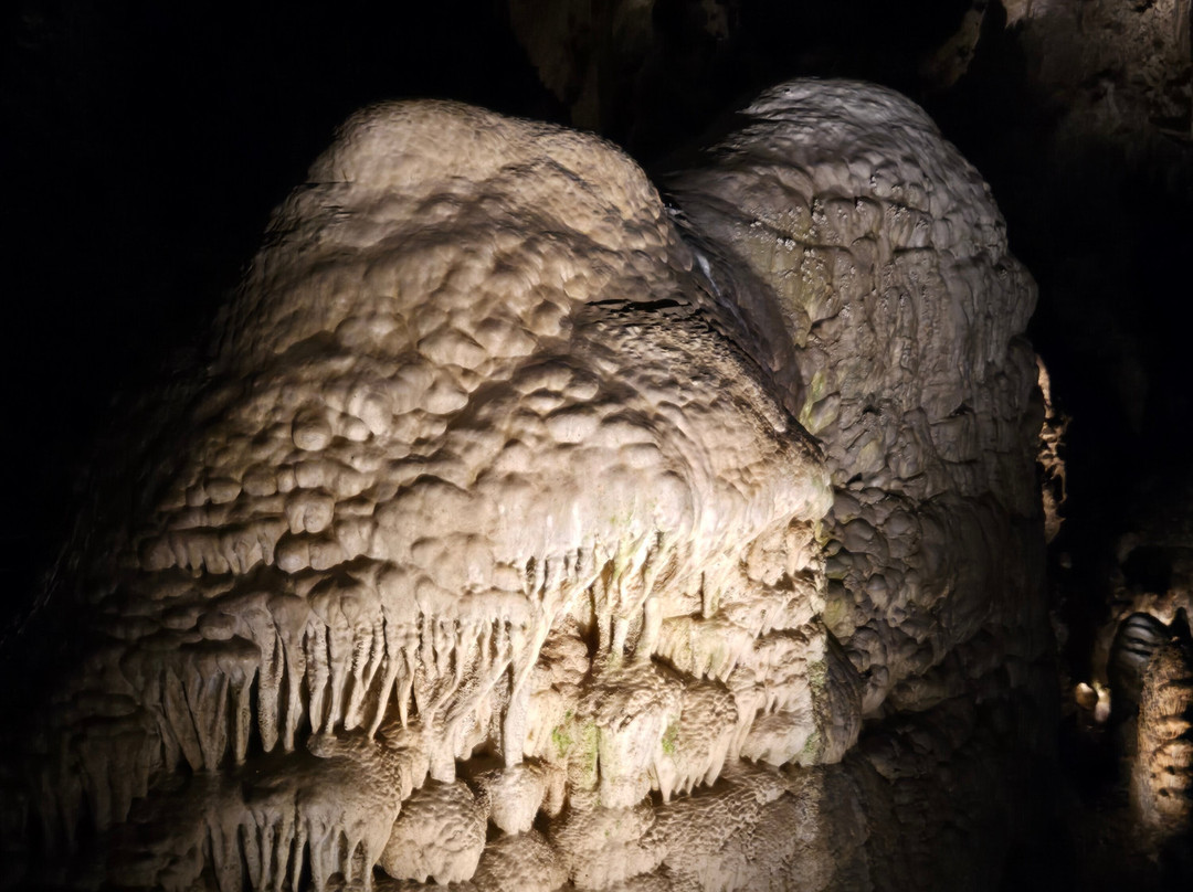 Carlsbad Caverns Natural Entrance Tour-卡尔斯巴德洞穴国家公园必去景点