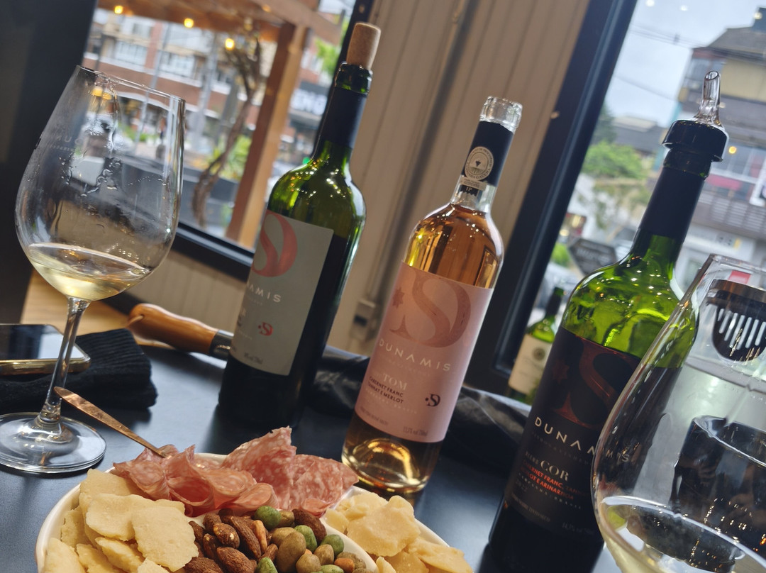 Dunamis Vinhos e Vinhedos