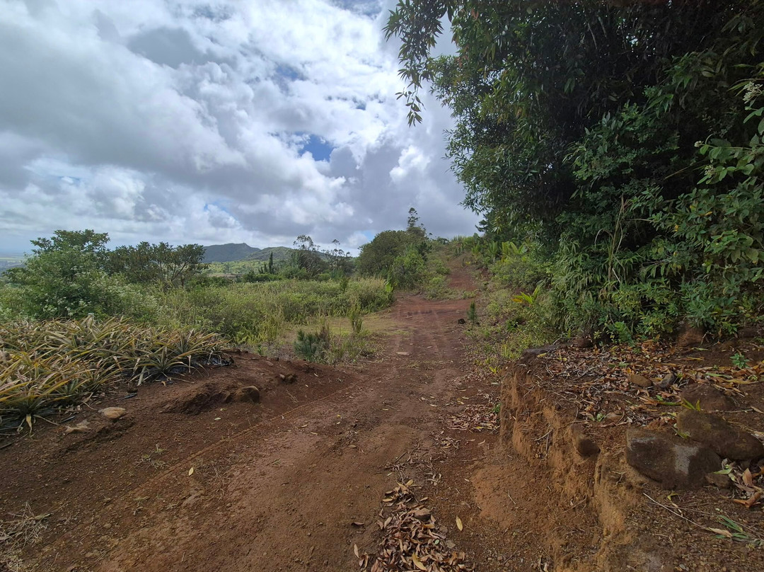Nature Trails Mauritius-卡特勒博尔纳必去景点