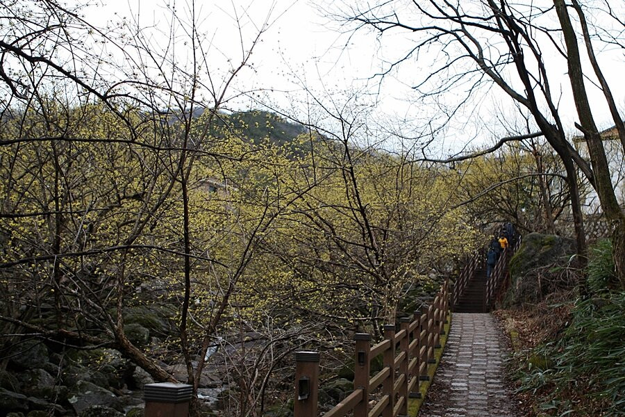 Gurye Sansuyu Village