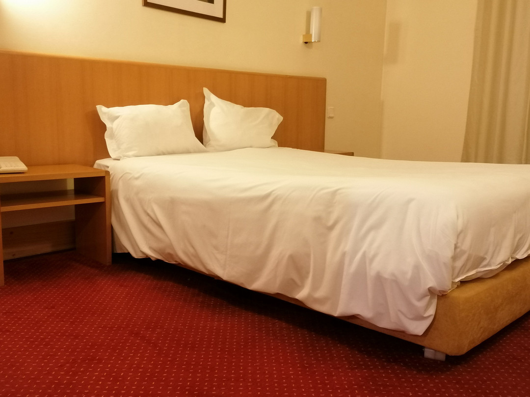 Flag Hotel Porto Maia