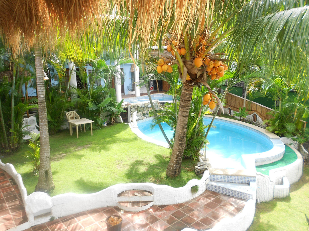 Palangan酒店住宿-海豚湾滨海潜水度假村