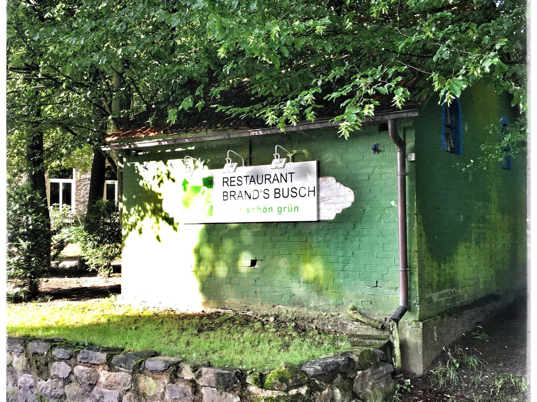 Waldhotel Brand's Busch