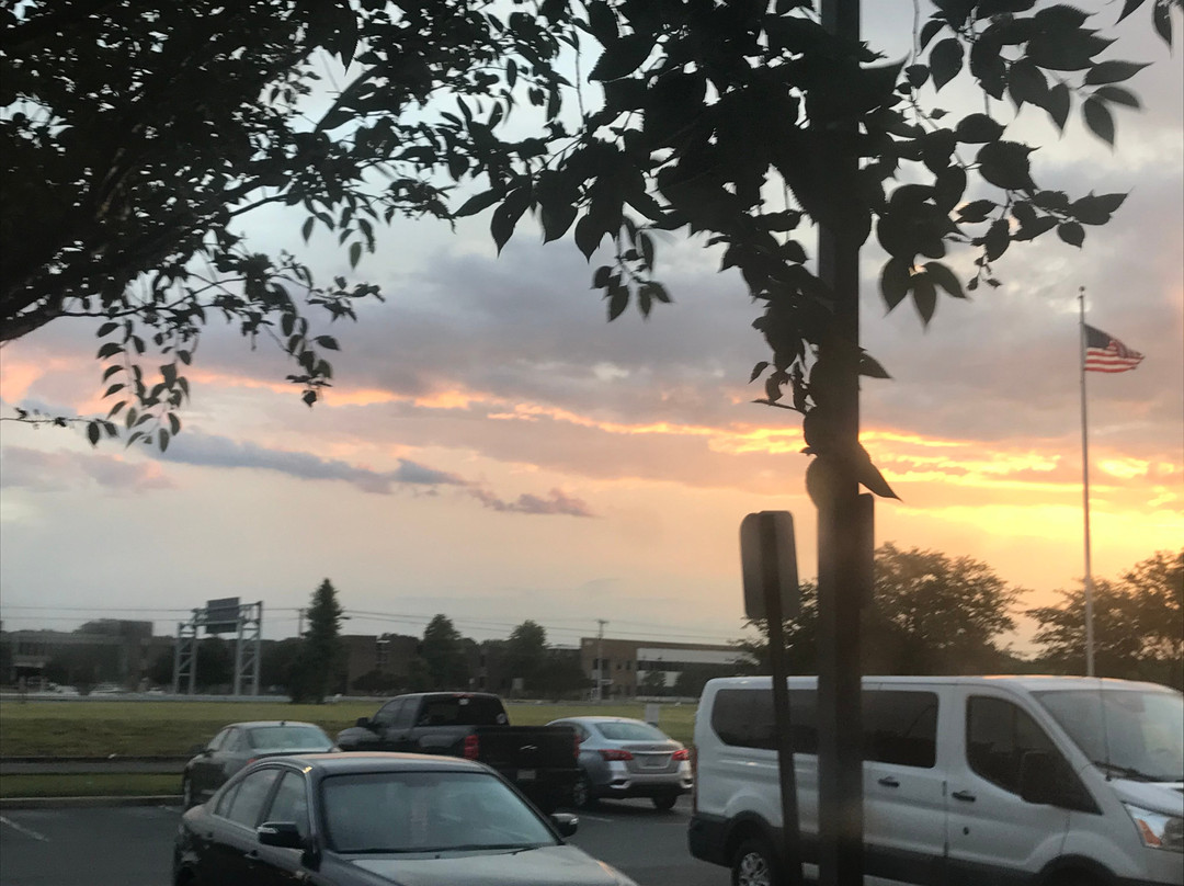 多佛尔曼斯戴套房酒店主图