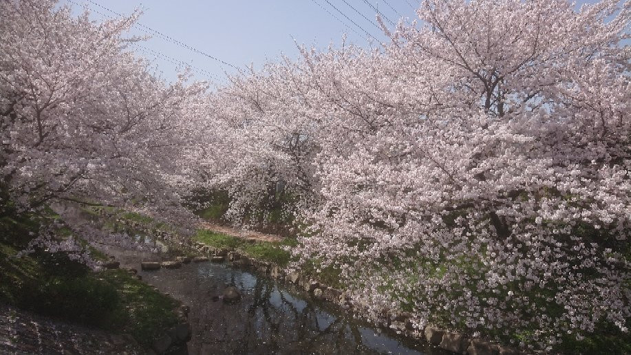 Konosu Fukiage Motoarakawa Hashizukushi-鸿巢市必去景点
