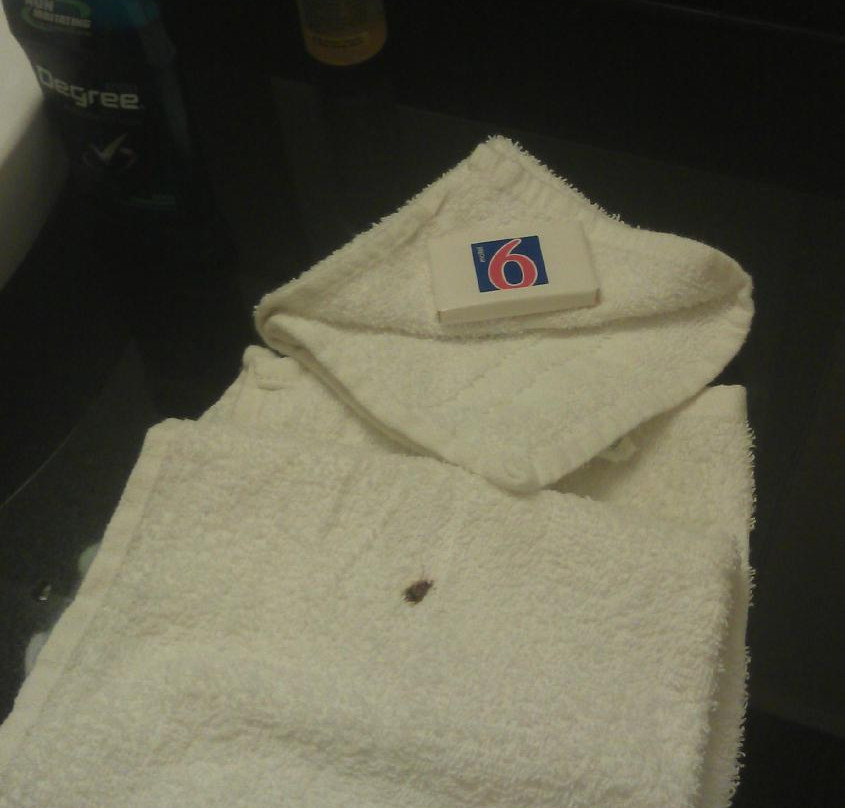 Motel 6 Houston North - Spring