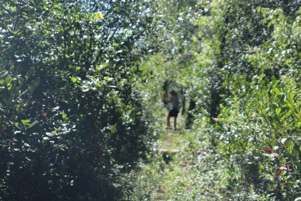 Wainfleet Bog Conservation Area-Wainfleet必去景点