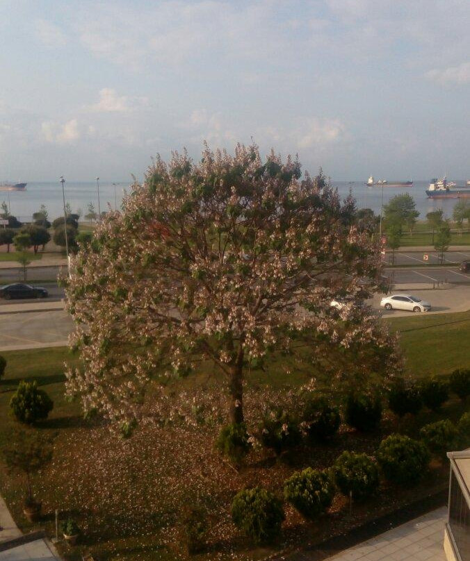 Emexotel Kocaeli