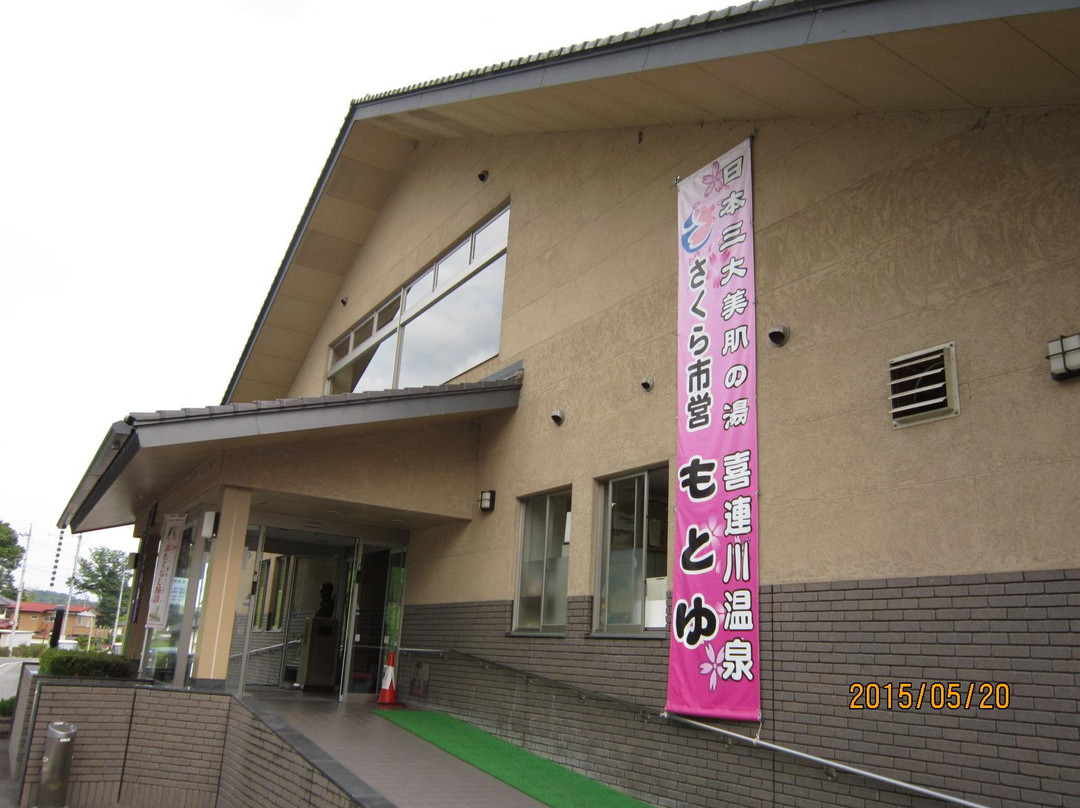 樱市旅游景点-Cherry Blossom Trees along Sotome