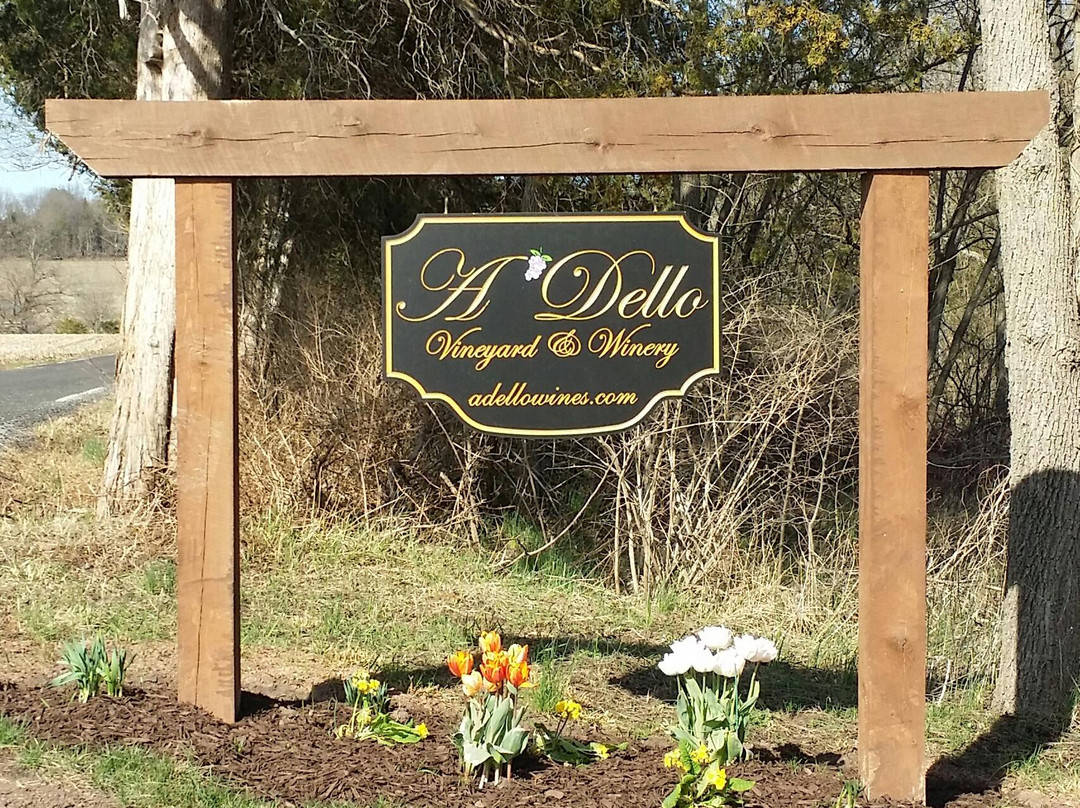 Schwenksville旅游景点-A'Dello Vineyard and Winery