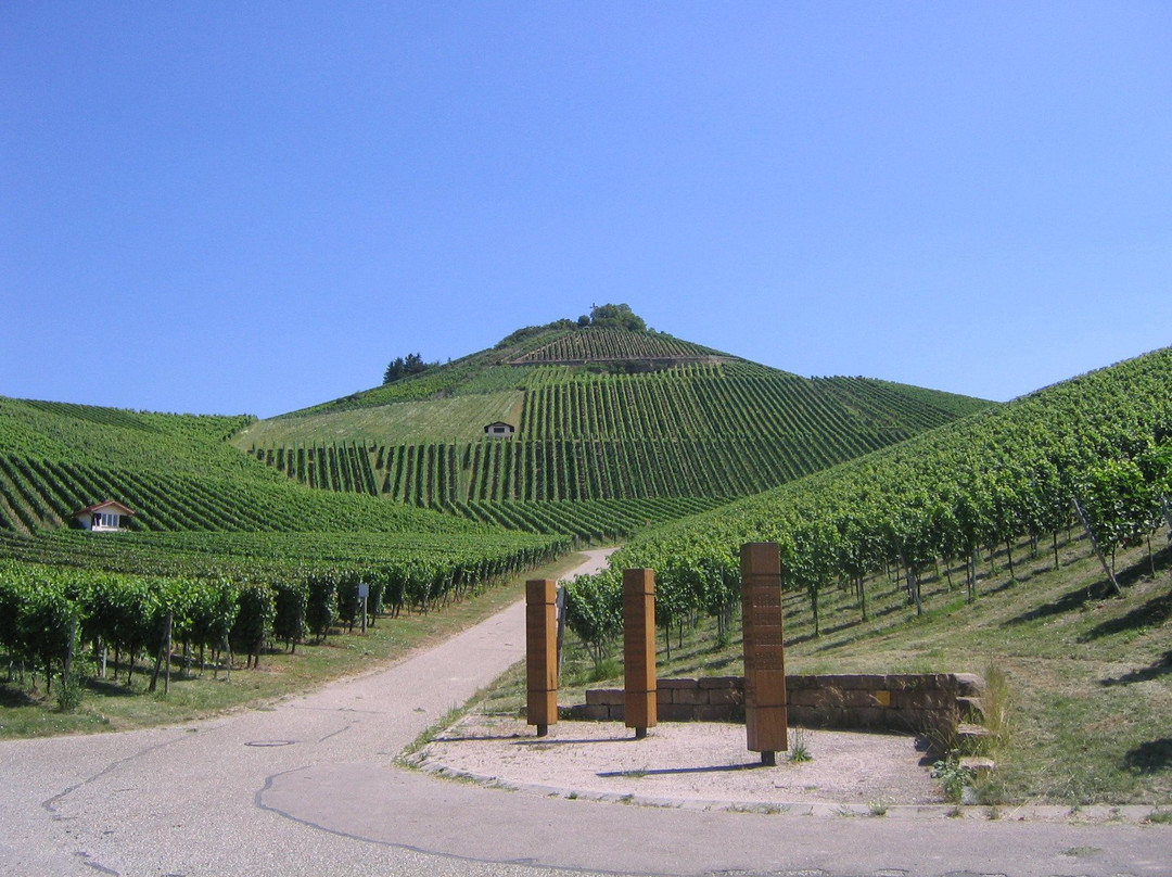 Holzapfel Winery景点图片