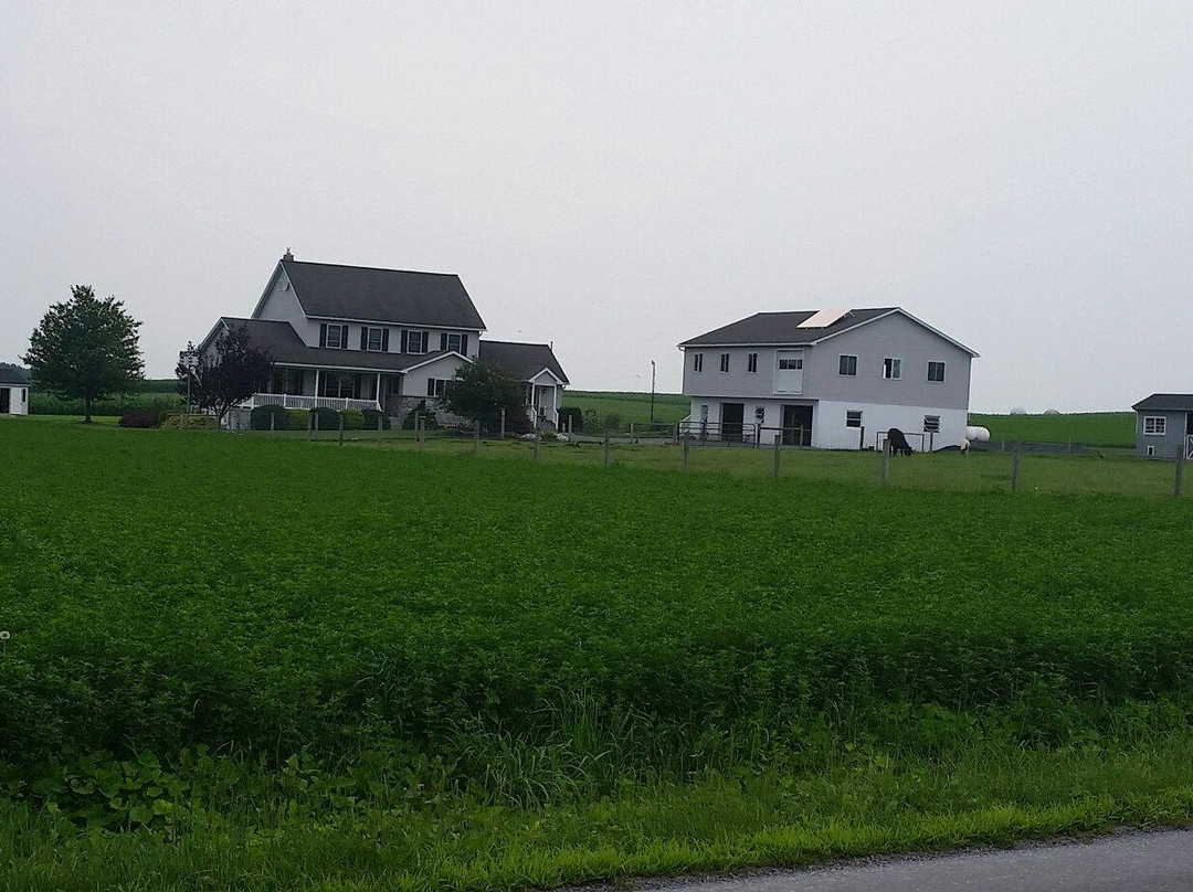 Country Road Cycles景点图片
