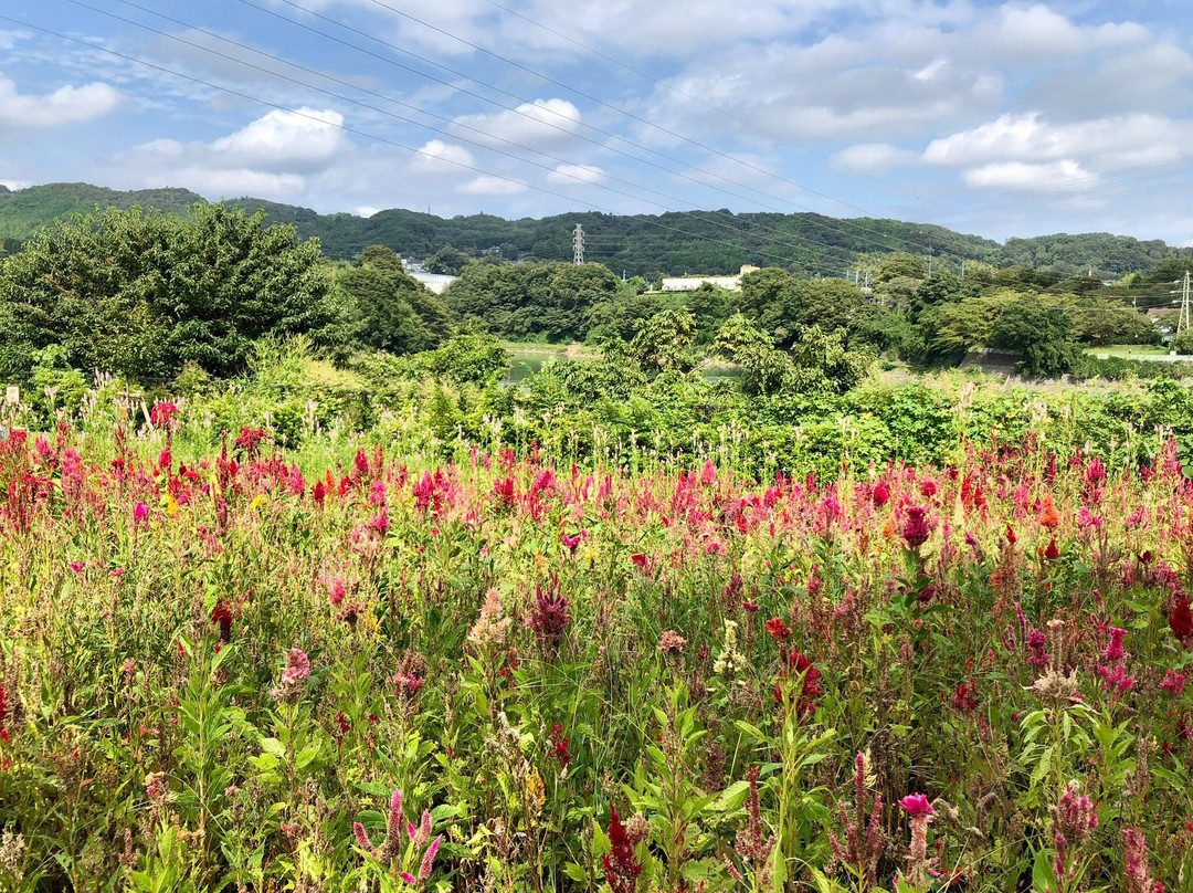 Tsukuiko Visitor Center