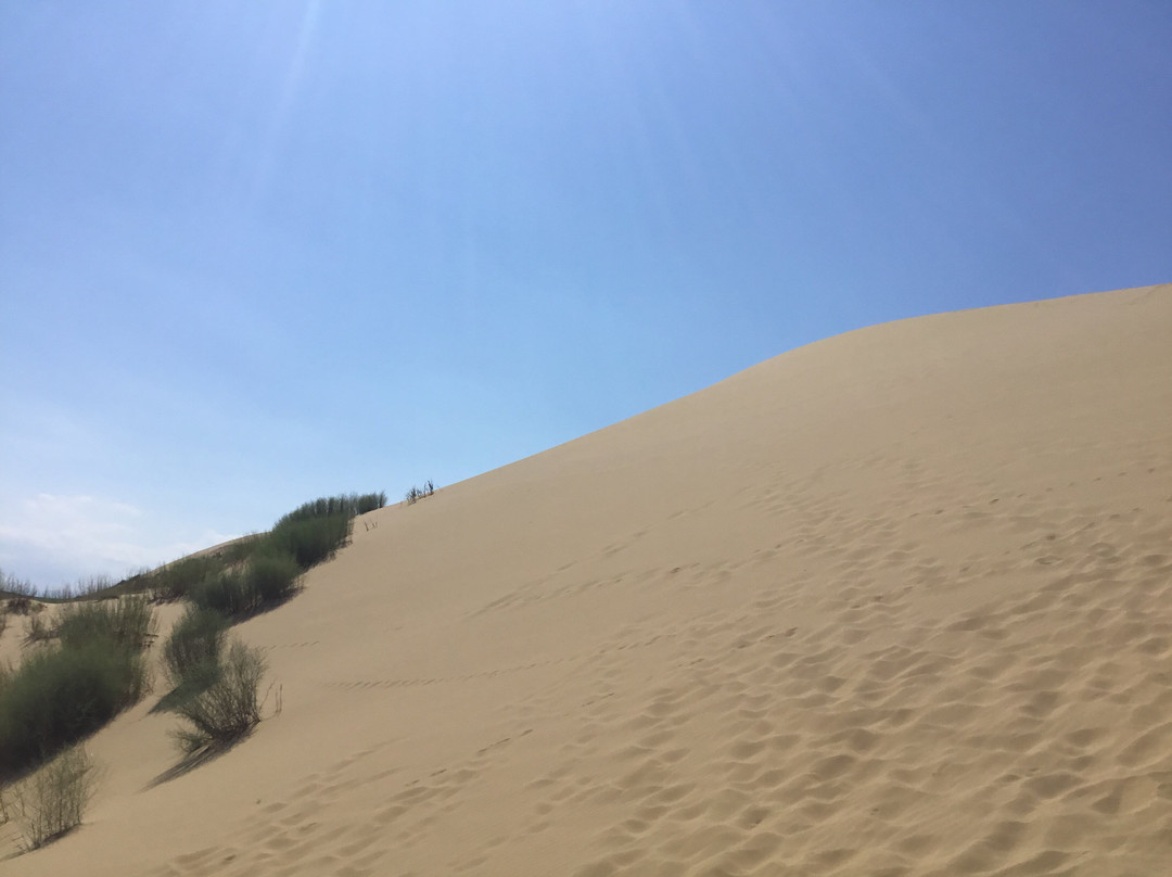Sarikum Dune景点图片