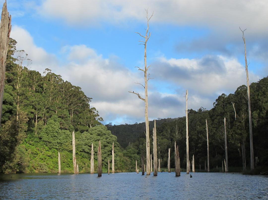 Paddle with the Platypus