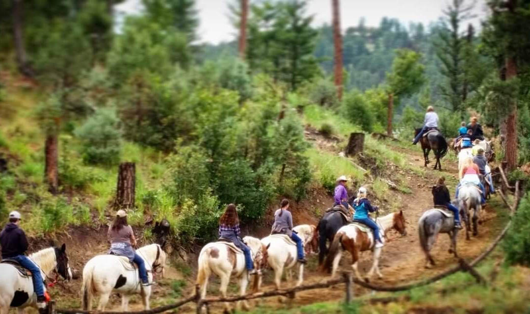 Grindstone Stables-鲁伊多索必去景点