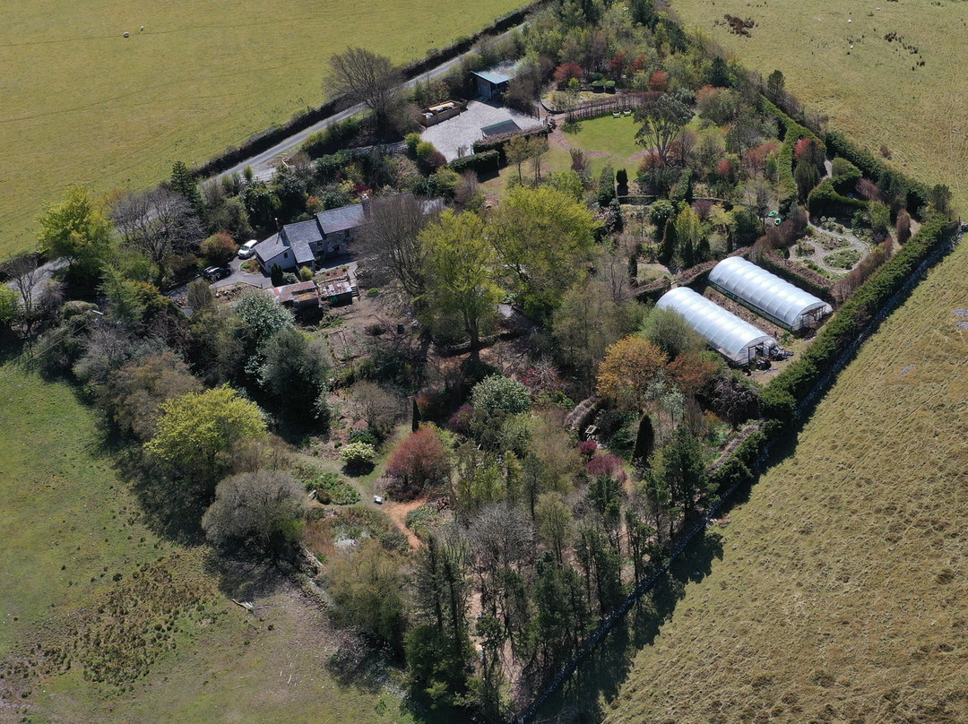 Pantyfod Gardens-Tregaron必去景点