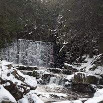 Wild Waterfall景点图片