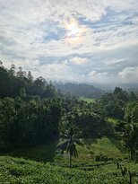 Rainforest Lodge主图