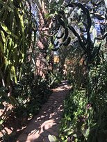 Dar al Hossoun主图