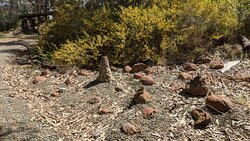 Elmore Miniature Railway-Elmore必去景点