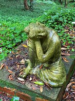 林登花园雨林休养所-浴室