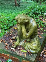 林登花园雨林休养所主图