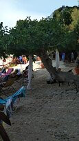 Tonnara di Scopello Museo-Scopello必去景点