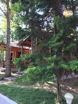 Bird of Paradise Homestay主图