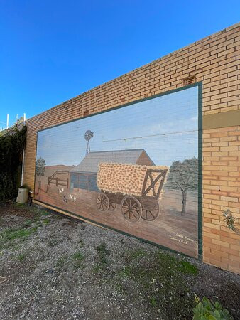 Rainbow Murals-Rainbow必去景点