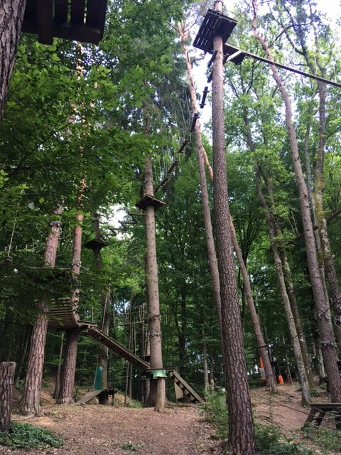 Hochseilgarten Stegerspark-史提加斯溪必去景点