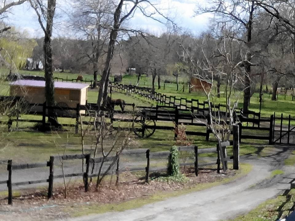 Le Ranch Amadeus景点图片