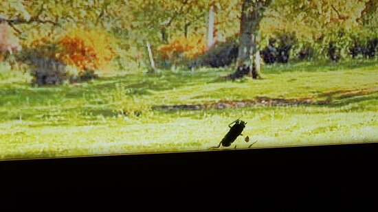 赫尔特山谷水疗酒店主图