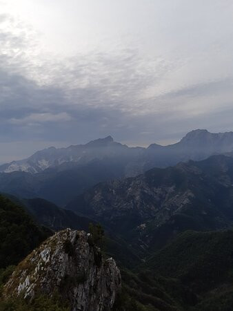 Orto Botanico Pellegrini - Ansaldi景点图片