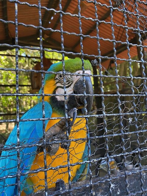 Hotel Fazenda Campo dos Sonhos主图