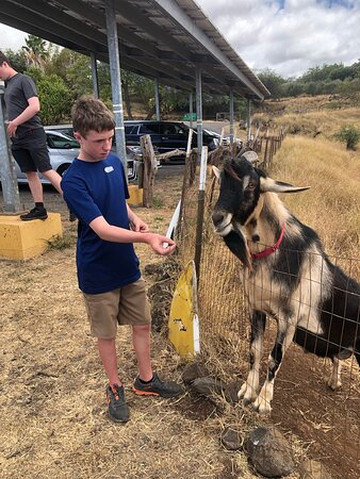 Maui Seasons-毛伊岛必去景点