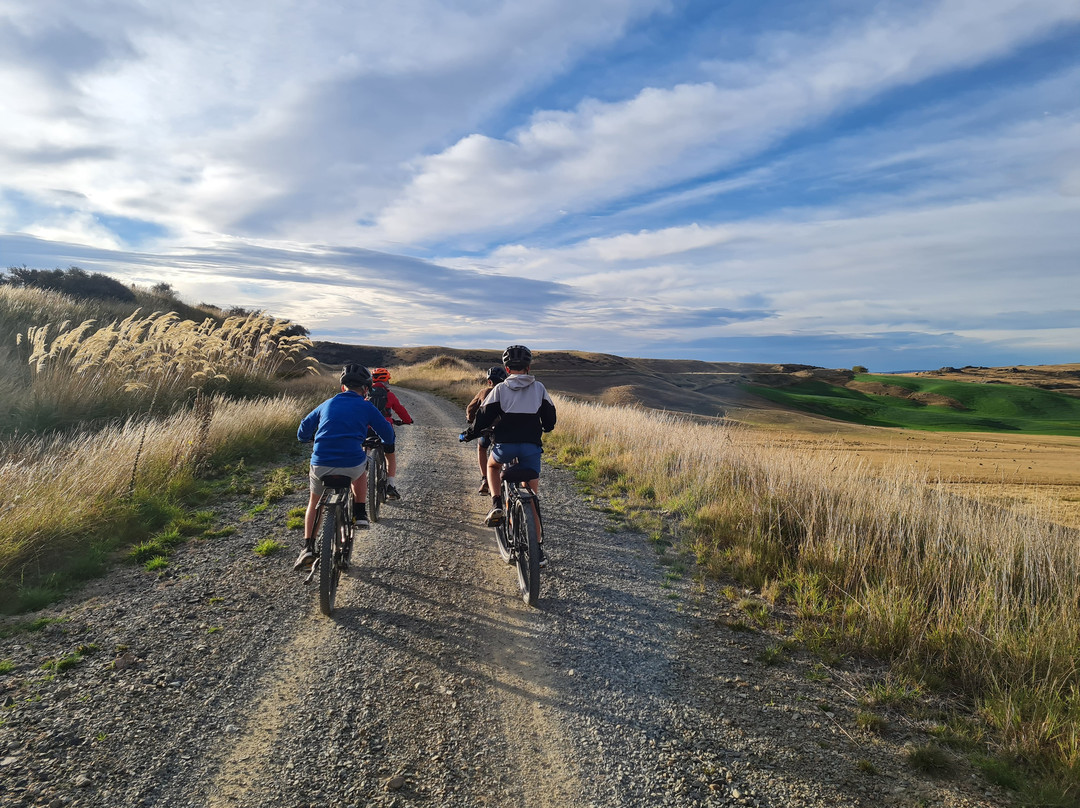 Shebikeshebikes Clyde景点图片