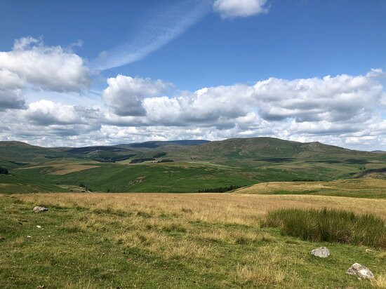 Footsteps - Walking the beauty of Northumberland景点图片