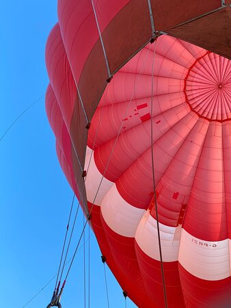 Bailey Balloons-布里斯托尔必去景点