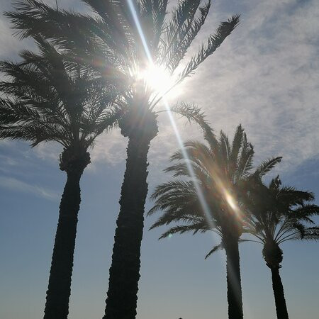 Casa de Campo Cantinho da Serra主图