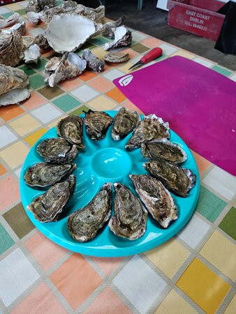 DK Connemara Oysters-Dawros More必去景点