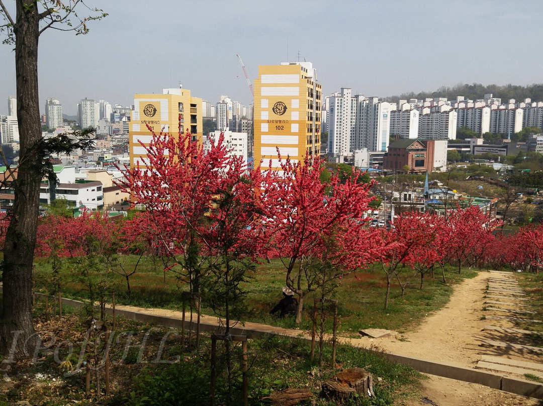 Seongsusan Park-富川市必去景点