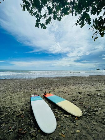 MAVI Surf Hotel de Dominical主图