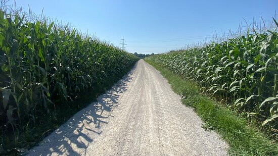 Center Mobilnosti Maribor-马里博尔必去景点