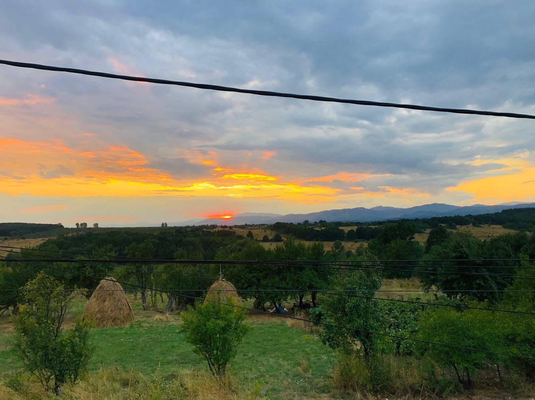 La Toscana Rustica