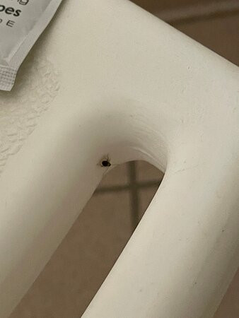 Holiday Inn Express & Suites Lake Charles By IHG主图