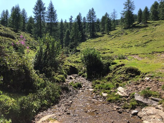 Landhotel Lindenhof主图